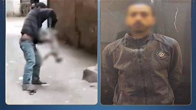  تعدى على قطة في القليوبية.. المتهم يواجه هذه العقوبة طبقا للقانون