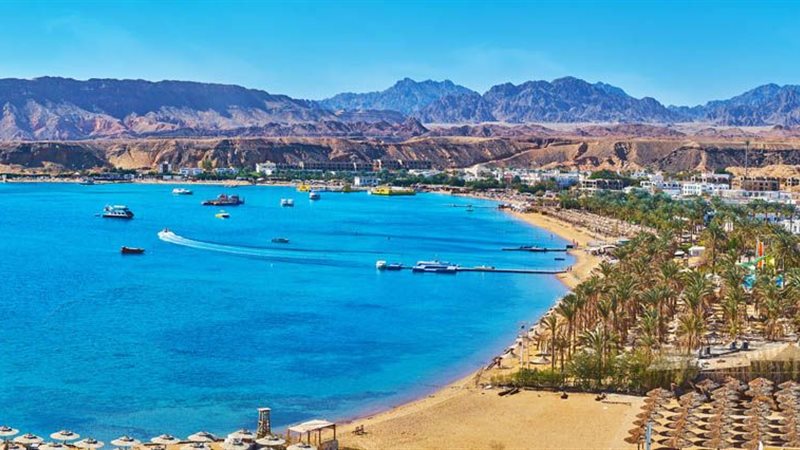 شركات السياحة