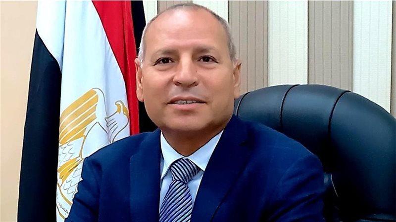 محافظ القاهرة 