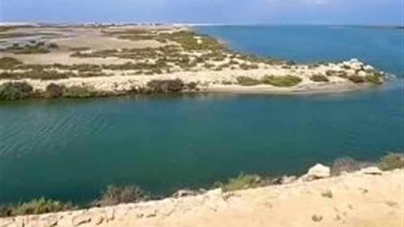 محمية الزرانيق