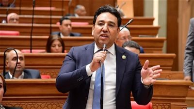 نائب: تحركات الحكومة في إدارة تداعيات التصعيد الإقليمي تعكس نموذجا استباقيا لحماية الاقتصاد الوطني