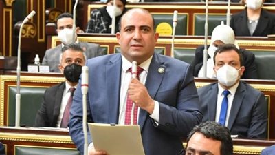 برلماني يطالب باستثناء المدن السياحية من قرار الغلق لحماية العملة الصعبة