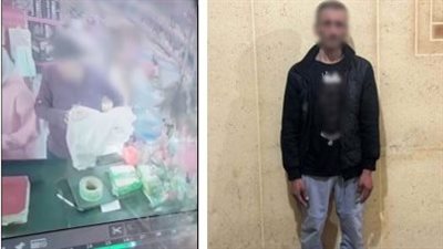 «مقطع فيديو يكشف السرقة».. ضبط عاطل بالدقهلية لسرقته هاتفين من محل تجاري
