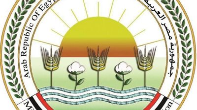   «في العيد.. لا تهاون»..الزراعة تزيل 384 حالة تعدٍ على الأراضي لحماية الرقعة الخضراء