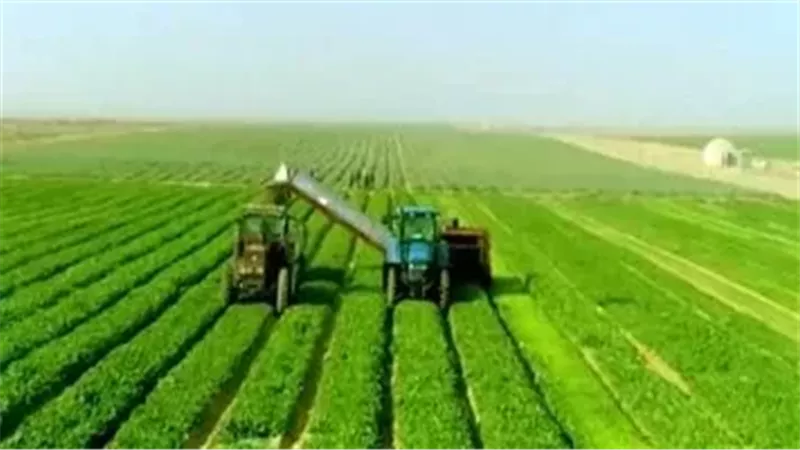 التنمية في الصعيد