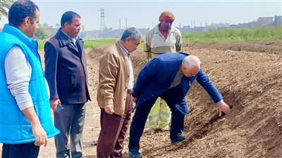 محافظ أسيوط يشدد على المتابعة المستمرة للتخلص الآمن من المخلفات الزراعية