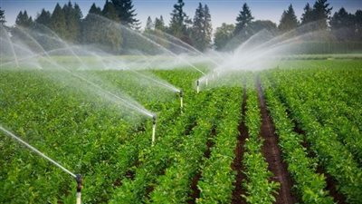 رقمنة المساقي في مصر.. خطوة جديدة لإدارة المياه بذكاء بعد تسجيل 22 ألف مسقى