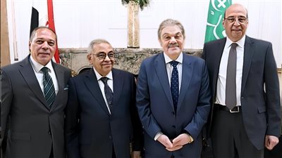 أكدوا على أن الوفد حجر الزاوية فى المعادلة الحزبية.. 