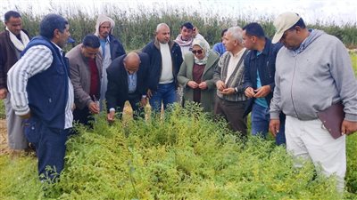 تحركات مكثفة لدعم الفلاحين.. الزراعة تفعّل الرقابة الميدانية والدفع الإلكتروني بالجمعيات