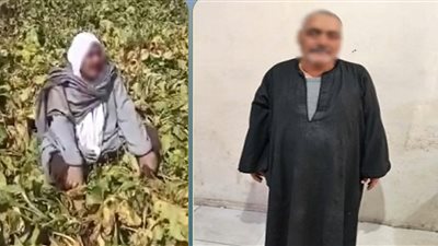 حيلة مكشوفة في كفر الشيخ..مزارع يتلف محصوله بيده ويتهم أبناء شقيقه كذبًا