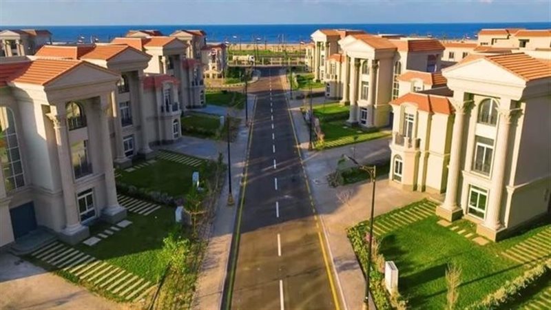 تحيا مصر المنصورة