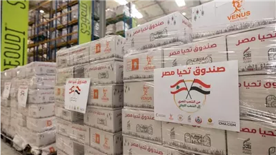  جسر إغاثة من القاهرة لبيروت.. 1000 طن مساعدات مصرية لمواجهة أزمة لبنان