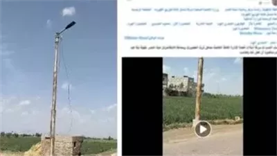 الأمن يكشف حقيقة فيديو سرقة كابلات الكهرباء في الدقهلية..أعمال صيانة وليست جريمة