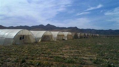 مفاجأة بقلب الصحراء.. مشروع يفتح بابا للتنمية بالبحر الأحمر