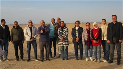 من الأسر إلى الحرية.. الزراعة تطلق صقورًا نادرة في الطبيعة