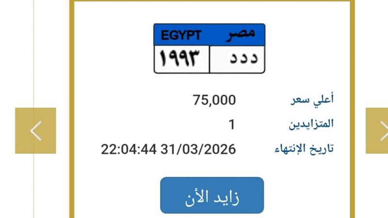 لوحة «ددد 1993» تشعل مزاد المرور في مصر