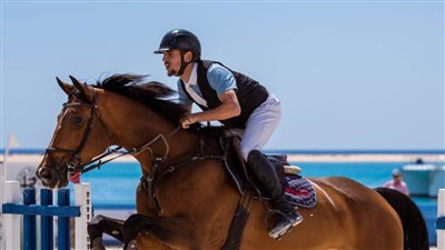  وزارة السياحة ترعى بطولتي كأس العالم للسباحة في المياه المفتوحة وكأس مصر للفروسية بسوما باي
