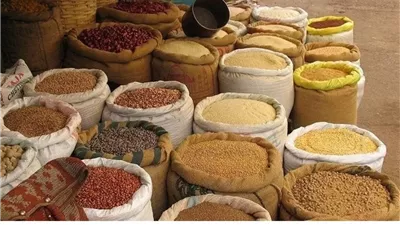 اعرف بكام.. ارتفاع أسعار الأعلاف وكسب الصويا في الأسواق
