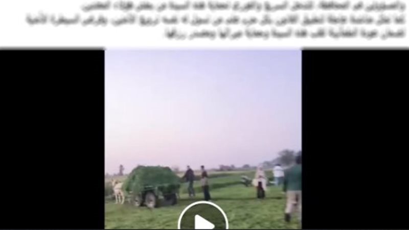 الواقعة