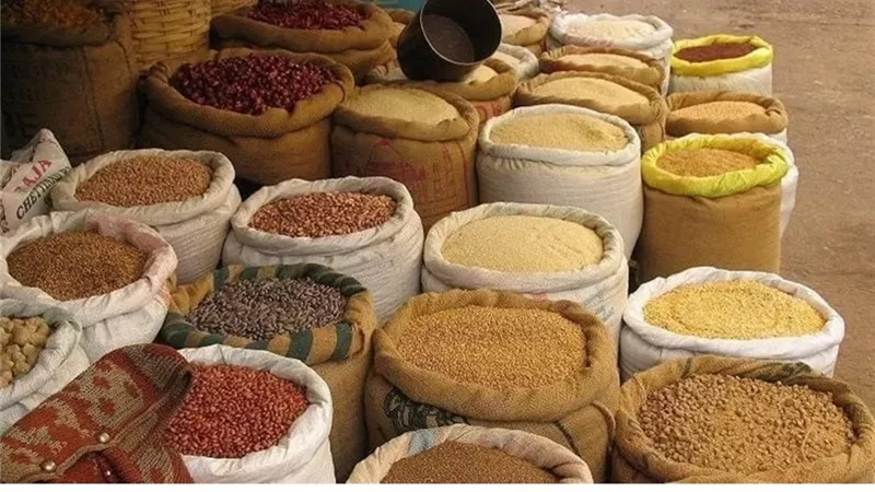 أسعار الأعلاف في الأسواق المصرية