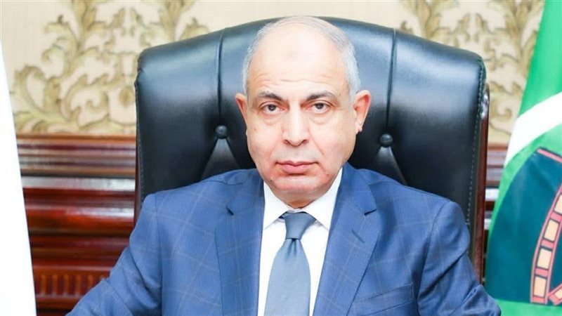 محافظ المنيا