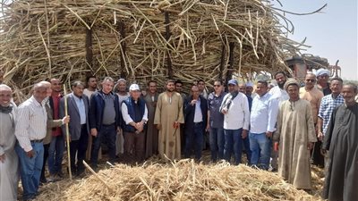 جولات ميدانية موسعة لقيادات البحوث الزراعية بمحطة المطاعنة لتعزيز إنتاج المحاصيل الاستراتيجية