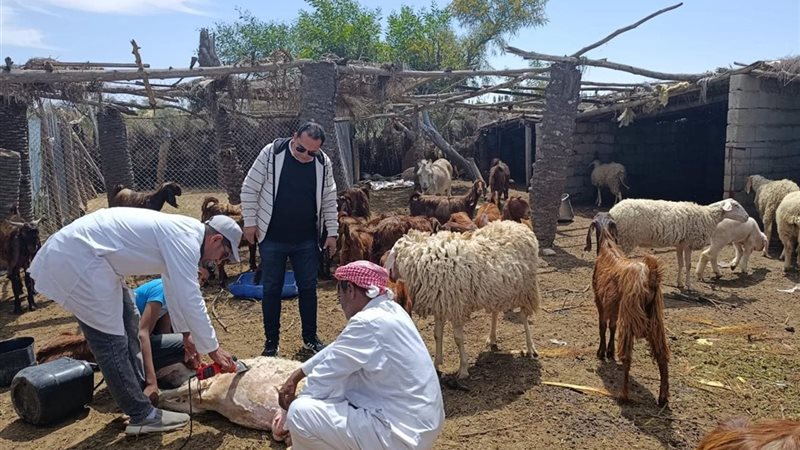 جامب من المتابعة 