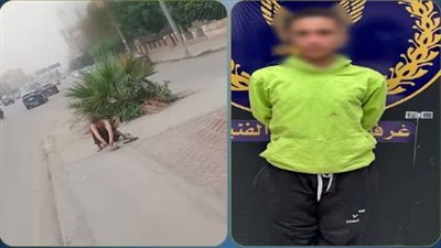كواليس القبض على 