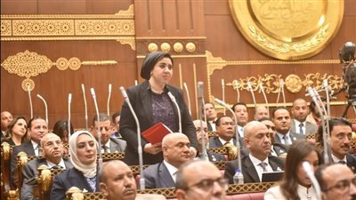 النائبة أميرة صابر: تعديلات قانون حماية المنافسة خطوة مهمة لمواجهة الاحتكار الرقمي