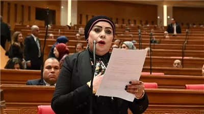 جيهان شاهين: تطبيق نظام العمل عن بُعد خطوة لتعزيز التحول الرقمي