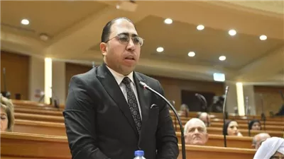 برلماني يزف أخبارًا سارة لحملة الماجستير والدكتوراه من التعليم الحكومي والأزهر