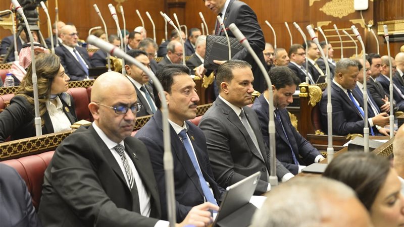 النائب مصطفى الشبراوي خلال جلسة الشيوخ