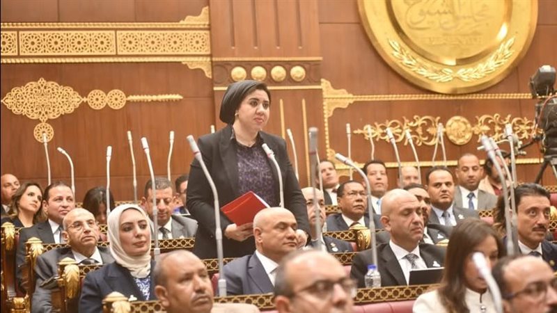 أميرة صابر 