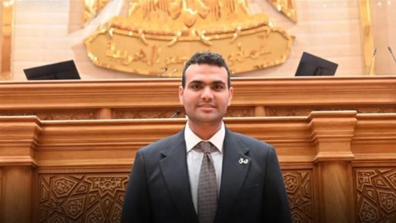 النائب حسين الهريدي، عضو مجلس النواب 