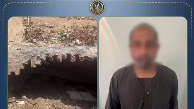 حقيقة حريق مدافن أسوان.. الداخلية تكشف التفاصيل وتضبط مروج الشائعة