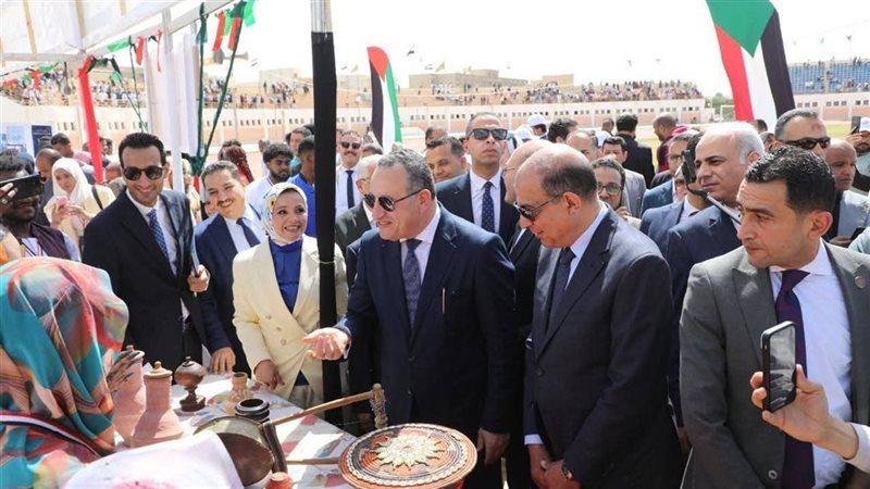 محافظ المنيا 