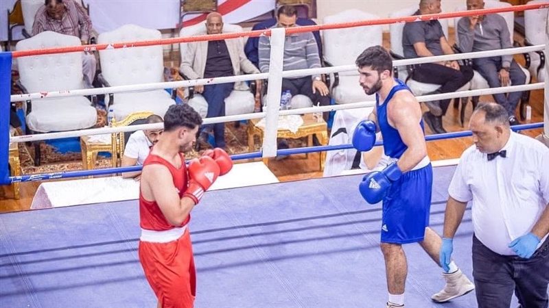 الملاكمة