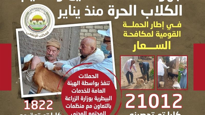 الكلاب الحره
