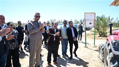 محافظ جنوب سيناء يشهد انطلاق حصاد القمح بطور سيناء.. دعم متواصل للزراعة وتحقيق الأمن الغذائي