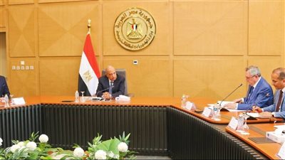 وزير الكهرباء يبحث مع وفد الدوما الروسي تعزيز التعاون في الطاقة النظيفة