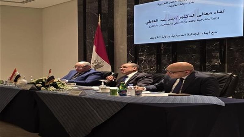 وزير الخارجية بدر عبد العاطي 
