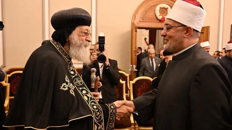 مفتي الديار النصرية 