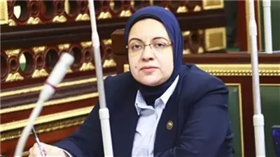 النائبة ريهام عبد النبي: مقترح برغبة لحجب المواقع الإباحية لحماية الأسرة المصرية