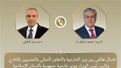 وزير الخارجية ونظيره الباكستاني يؤكدان تعزيز المسار الدبلوماسي لاستقرار المنطقة