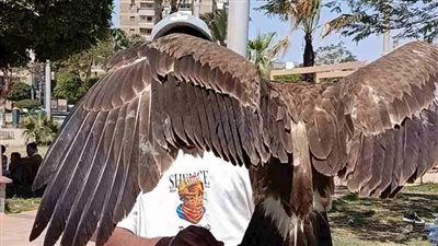 طيور جارحة وزواحف لالتقاط الصور التذكارية في أجواء شم النسيم بالمنيا