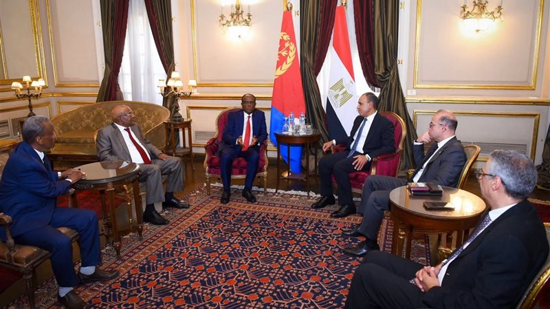 وزير الخارجية بدر عبد العاطي 