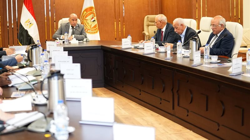 وزير العمل 
