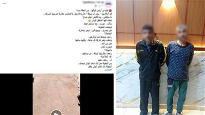 خافوا من الفيديو فأعادوها.. سقوط لصي بطاريات السيارات في الزقازيق