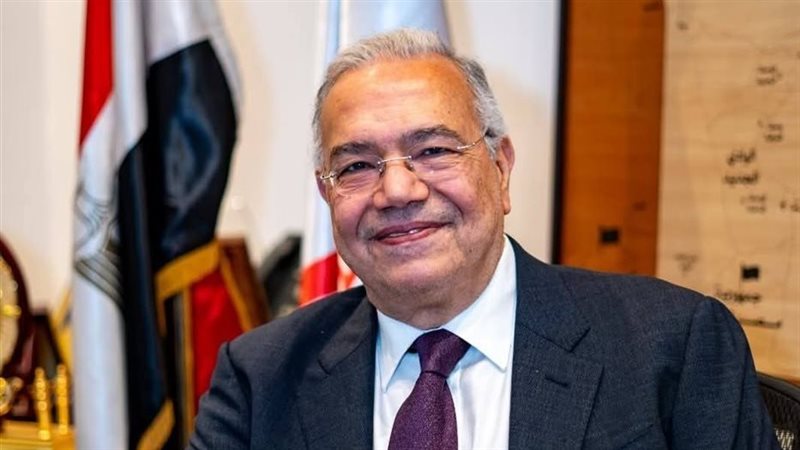 عصام خليل، عضو مجلس الشيوخ ورئيس الحزب