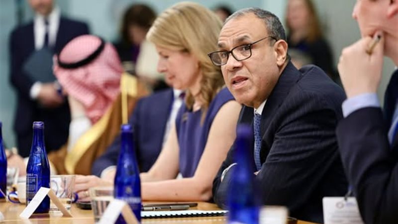 وزير الخارجية الدكتور بدر عبد العاطي